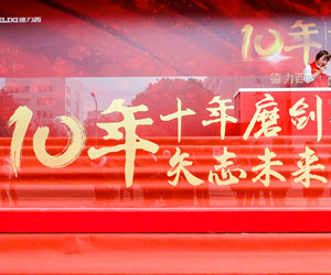 德力西電氣合資十周年慶典隆重舉行